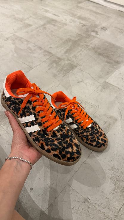 Boston Leopard