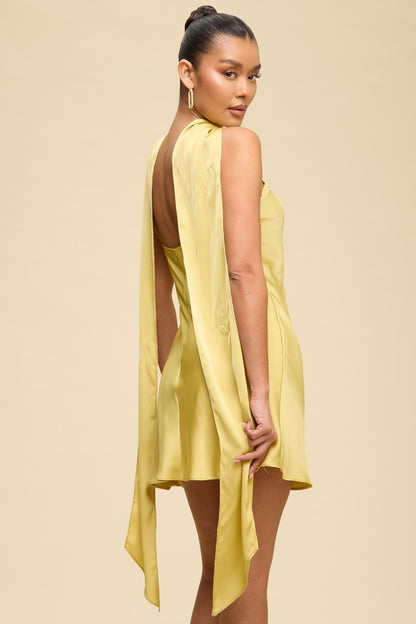 Silk Aura Dress