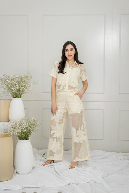 Set Elena